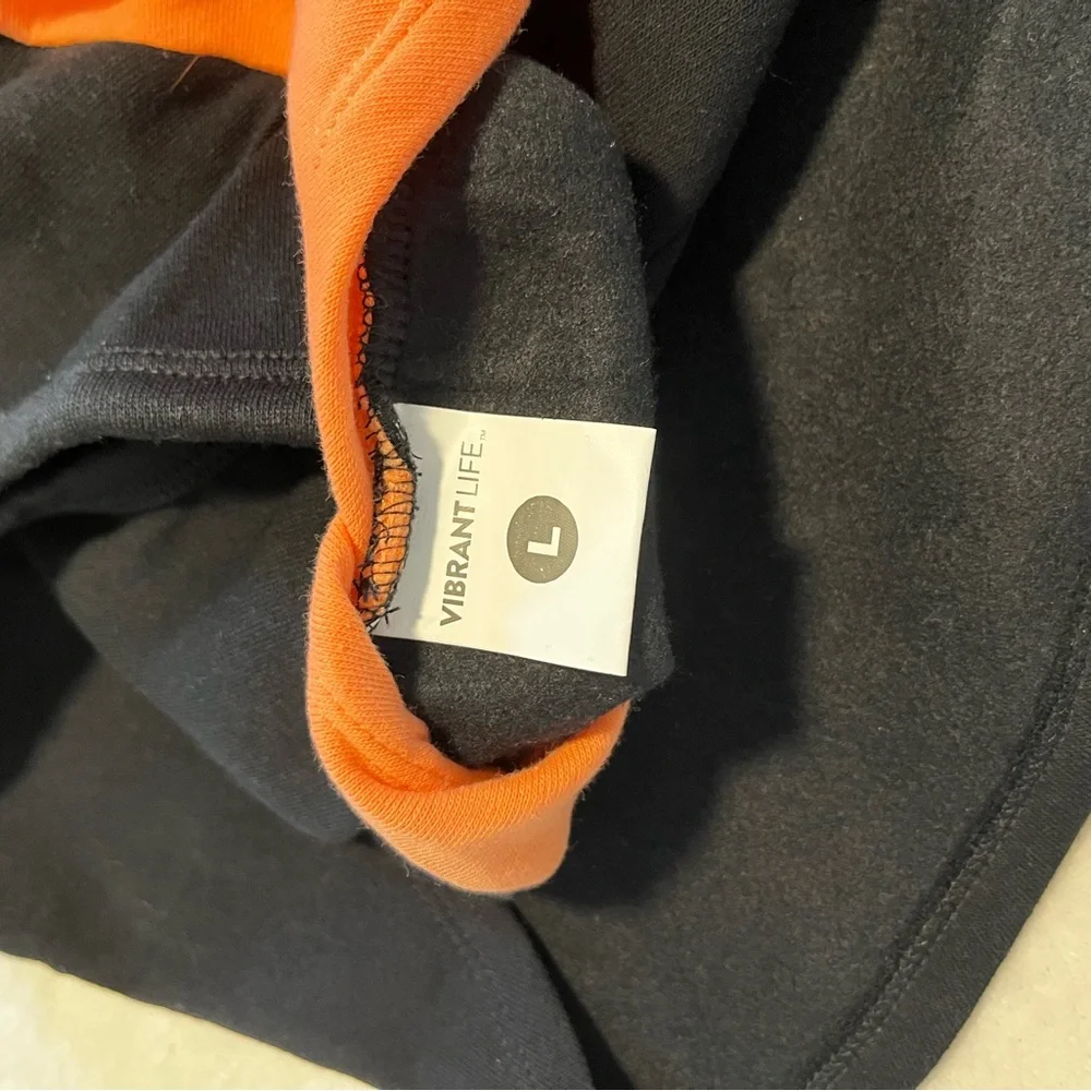 🎃 Vibrant Life “Mommy’s Little Pumpkin” Dog Hoodie sweatshirt – Size L 🐾🧡 - Picture 3 of 3